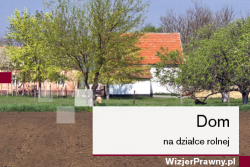 Dom na działce rolnej